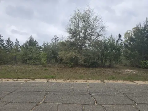 Residential Lot in Sunny Hills