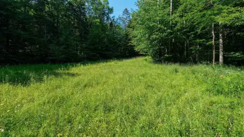 Shovel-Ready Residential Home Lot