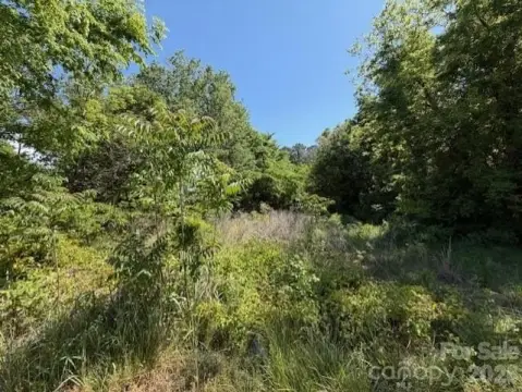 Wooded Parcel in Great Falls