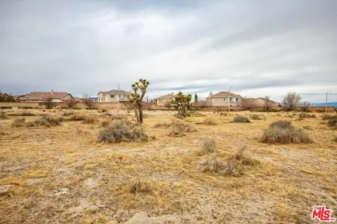 Palmdale Land Investment Opportunity