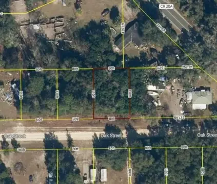 Undeveloped Lot in Hawthorne, FL