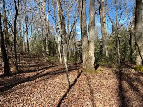 Wooded Lot in Collett Woods