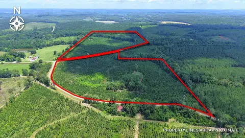 Recreational Timber Acreage with Creek
