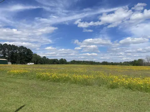 36.1 Acres in Prattsville