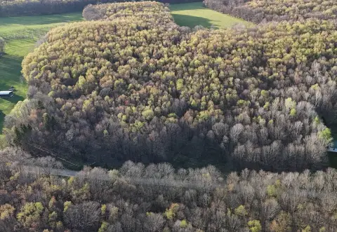 Wooded Recreational Hunting Land