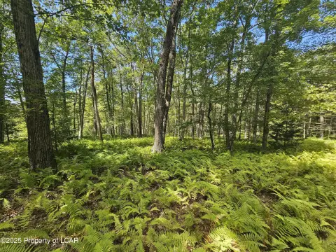 32.65 Acre Woodland Estate Property