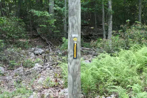 Residential Land in High Valley