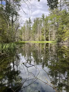 Forested Recreation Land with Pond