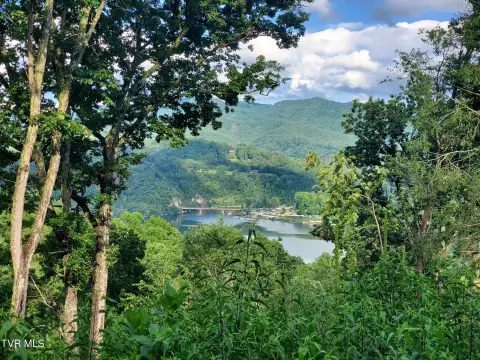 Land Near Watauga Lake