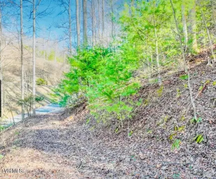 Watauga Lake Waterfront Land