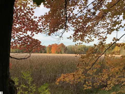 Hunting Land with Marsh