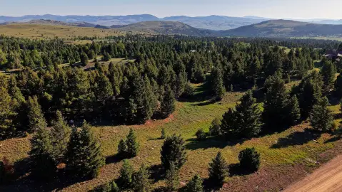 Land in Deer Lodge, MT