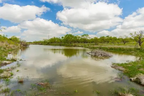 Expansive Ranch with Hog Creek