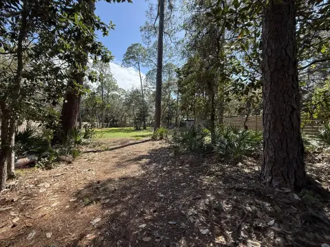 Wooded Buildable Residential Lot