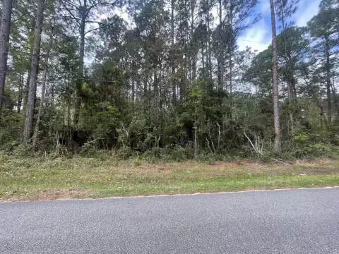 Wooded Homesite in Growing Freeport