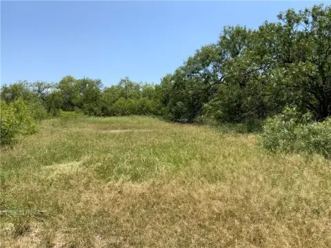 Undeveloped Land in Sinton, TX