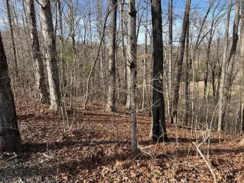 Wooded Lot in Gated Community