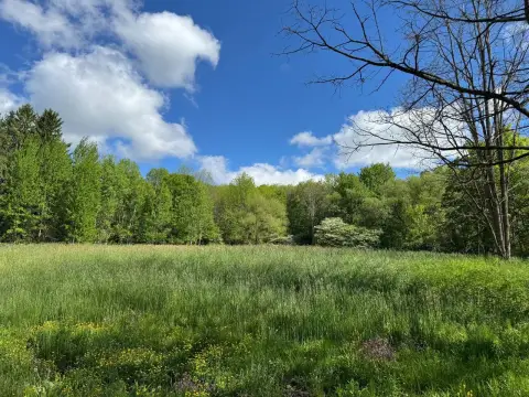 Otego Vacant Land Opportunity