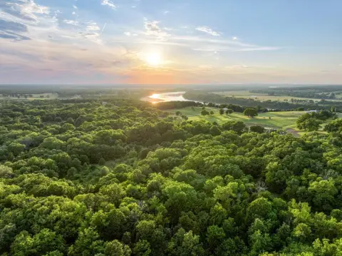 Timbered Recreational Hunting Tract