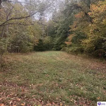 Wooded Hunting Land