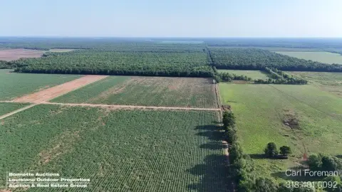 Morrow, LA Hunting Land Interest