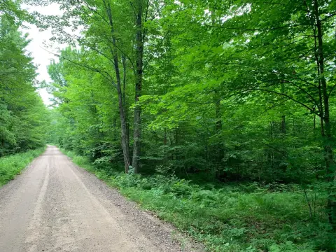 Wooded Recreational Land Parcel