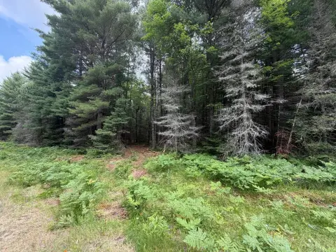 Northwoods Home Site Parcel