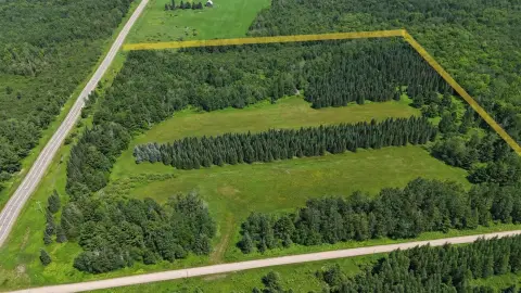 Recreational Hunting Land Parcel