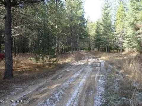 Priest River Timbered Land Parcel
