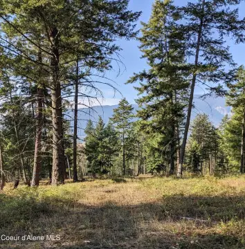 Bonners Ferry 10-Acre View Parcel