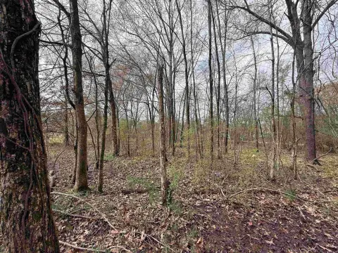 Residential Lot in Prescott, AR