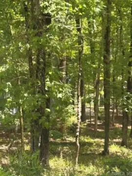 Lake Cortez Subdivision Lot