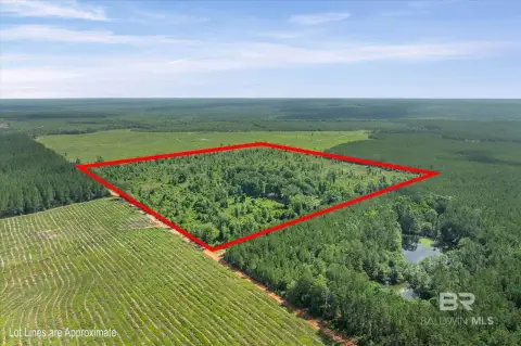 Hunting and Recreation Land Tract