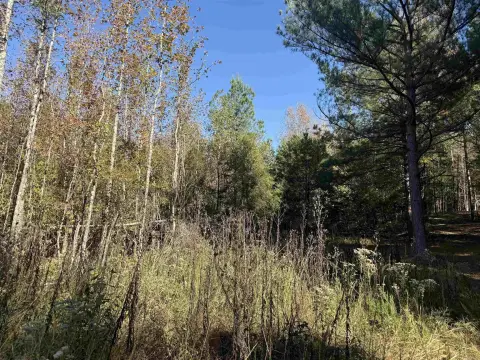 9.57 Acres in Paragould, AR