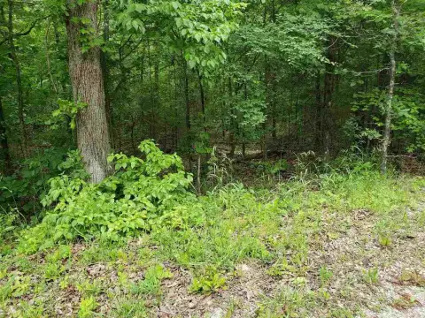 Wooded Hilltop Home Site