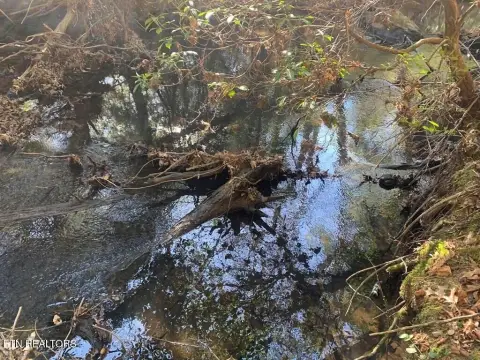 Unrestricted Land with Creek Frontage