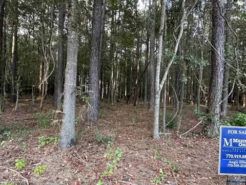 Lakefront Recreation Land