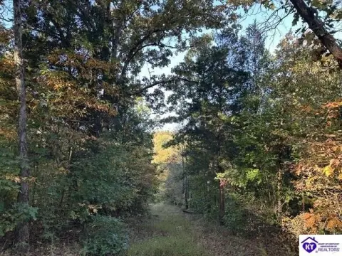 Hunting Land with Cabins