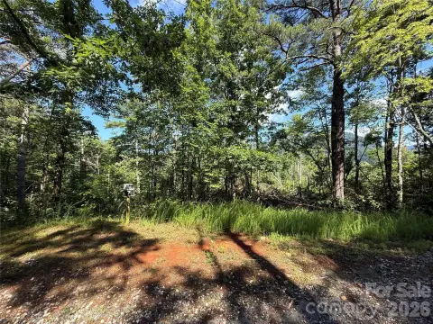 Mountain Homesite in Gated Community