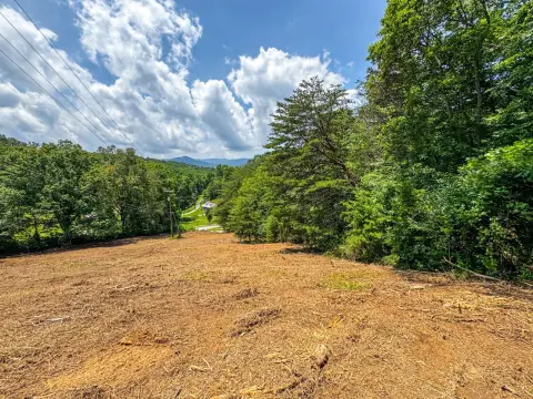 Lake City Vacant Land Parcel