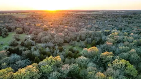Acreage Tract with Homesite