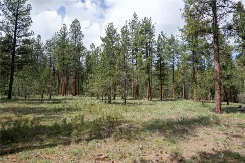 Florence, MT Land For Sale