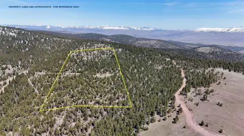 20 Acres with Mountain Views