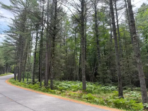 Wooded Residential Land Parcel