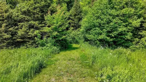 Recreation and Hunting Land Parcel