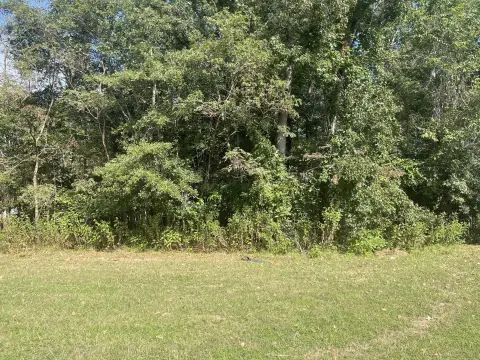 Golf Course View Homesite