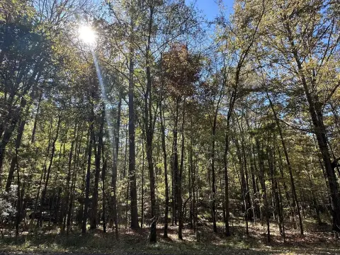 Residential Land Lot with Lake Access