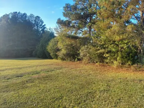 Versatile Land Parcel in Appling, GA