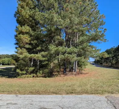 Land For Sale, Trenton, SC