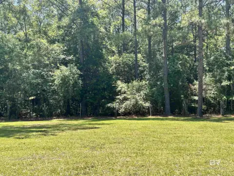 Wooded Acreage on Highway 59